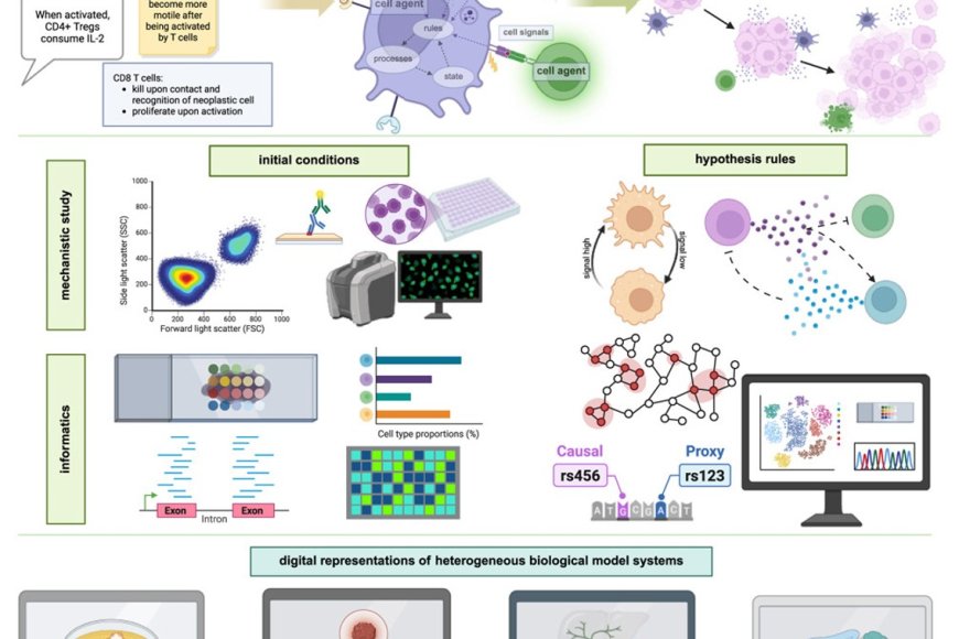 HUMAN INTERPRETABLE GRAMMAR ENCODES MULTICELLULAR SYSTEMS intelligence overview