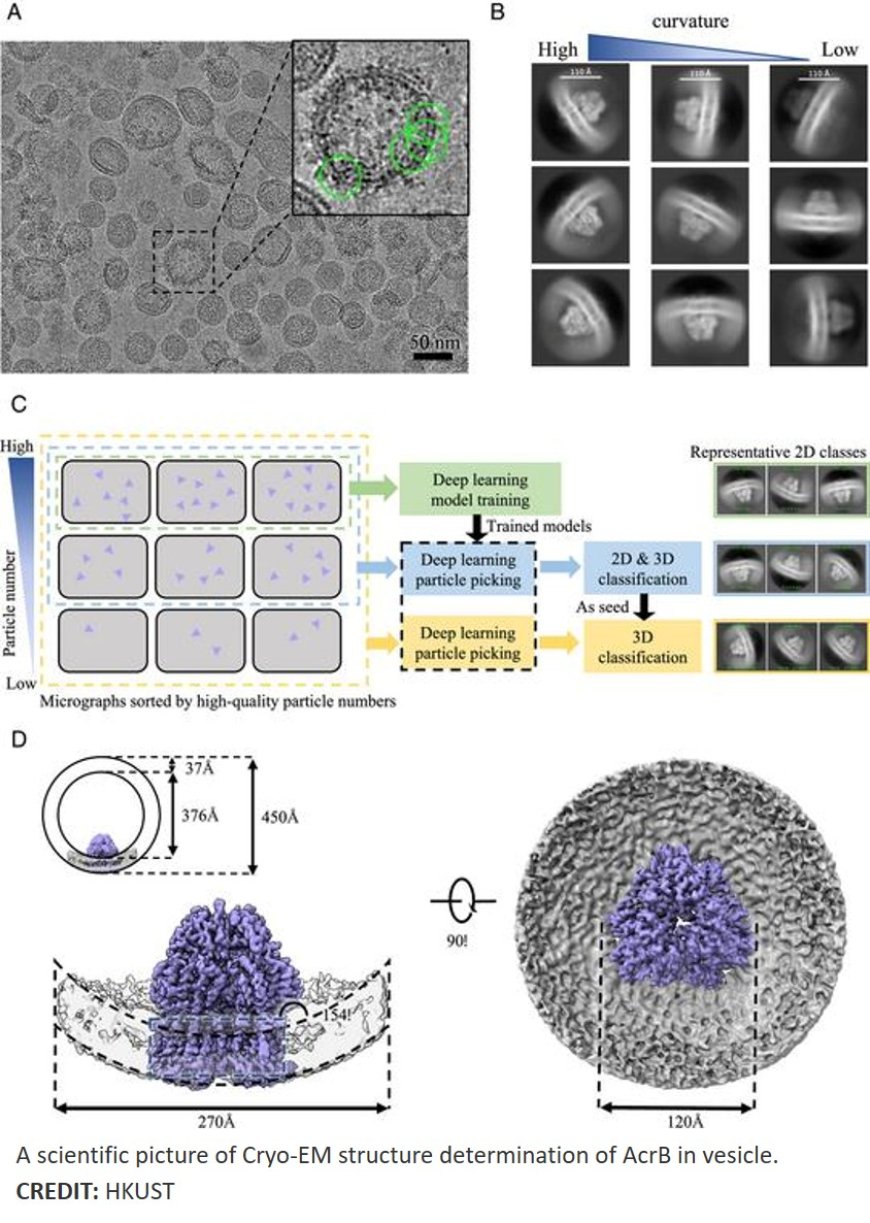 A novel vesicle-based method to capture the native structure of membrane proteins