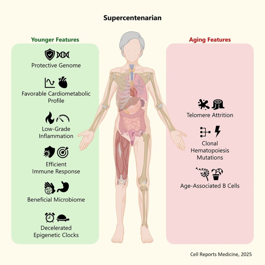 The multiomics blueprint of the individual with the most extreme lifespan