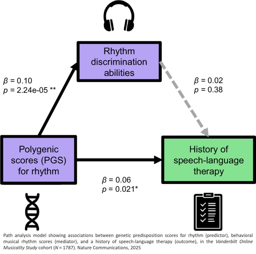 Musical rhythm abilities and risk for developmental speech-language problems and disorders: epidemiological and polygenic associations