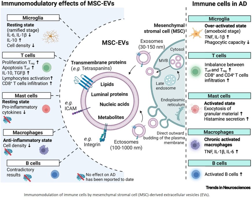 Mesenchymal stromal cell extracellular vesicles as immune modulators and drug carriers in neurodegenerative disorders