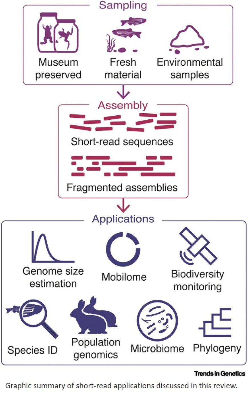 The untapped potential of short-read sequencing in biodiversity research