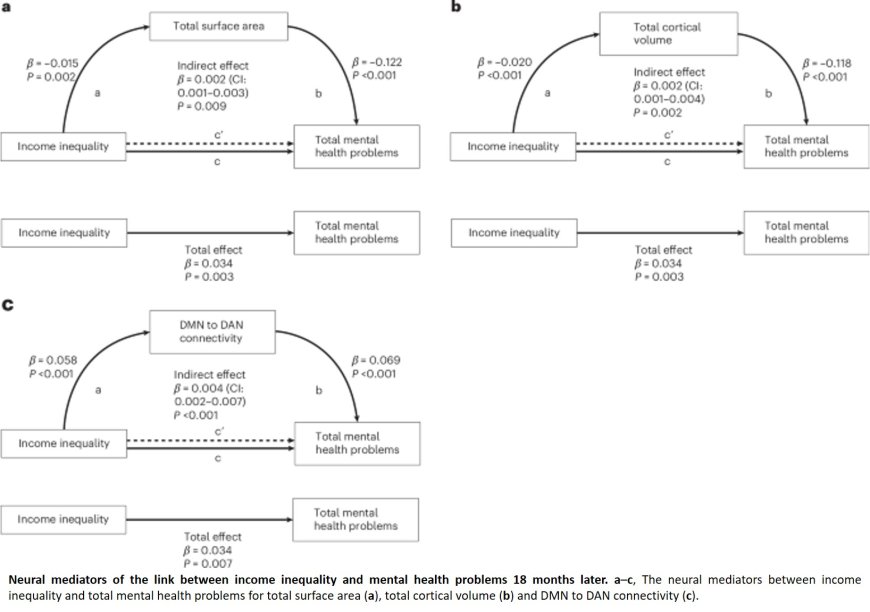 Societal inequality linked to structural brain changes in children