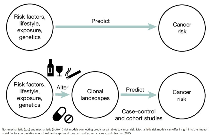 Somatic mutation and selection at population scale
