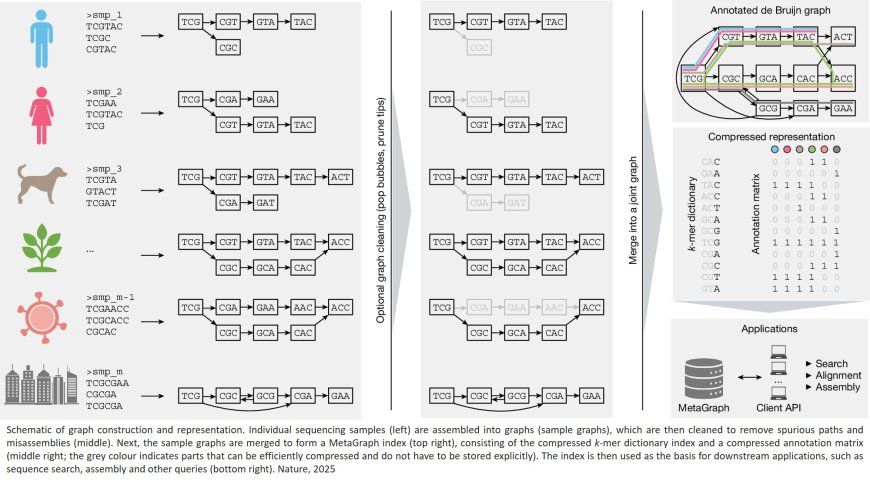 Efficient and accurate search in petabase-scale sequence repositories