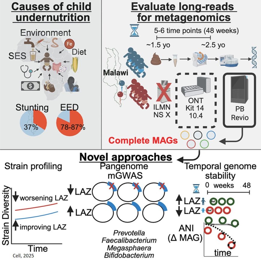 Culture-independent meta-pangenomics enabled by long-read metagenomics reveals associations with pediatric undernutrition