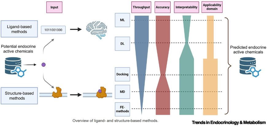 In silico prediction of endocrine activity