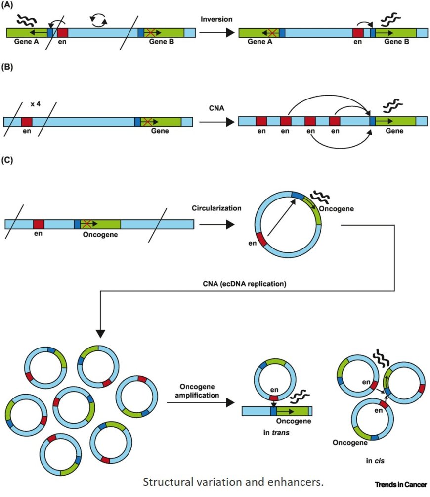 How structural variation shapes the cancer epigenome