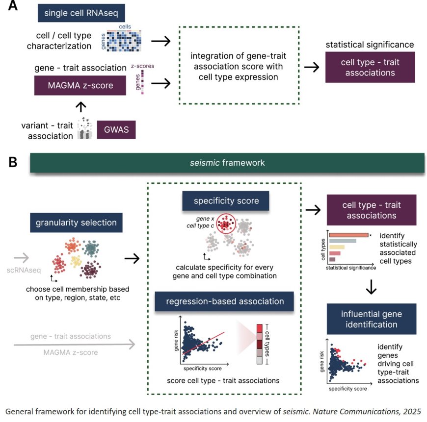 Algorithm maps genetic connection between Alzheimer’s and specific neurons
