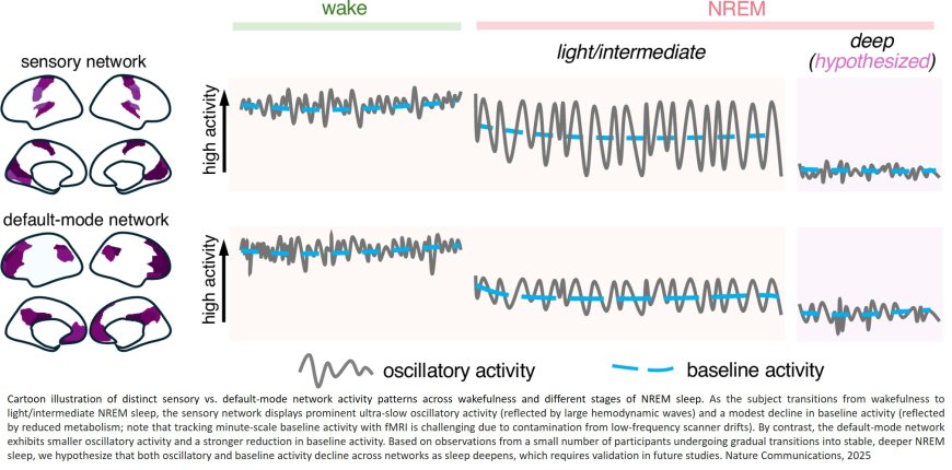 Simultaneous EEG-PET-MRI identifies temporally coupled and spatially structured brain dynamics across wakefulness and NREM sleep