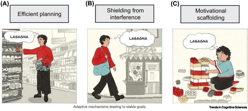 The adaptive value of stubborn goals
