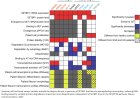 Neurodegenerative mechanisms in SETBP1 variants