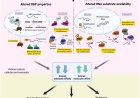 Functional plasticity of RNA-binding proteins in cancer: both friend and foe