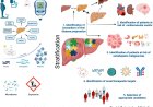 Advancing precision medicine in metabolic dysfunction-associated steatotic liver disease