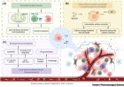 Sodium's role and therapeutic targeting in cancer