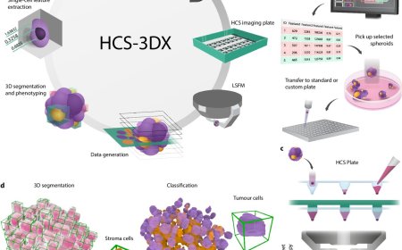 HCS-3DX, a next-generation AI-driven automated 3D-oid high-content screening system