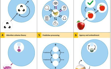 Identifying indicators of consciousness in AI systems