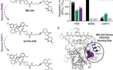 PROTAC repurposing uncovers a noncanonical binding surface that mediates chemical degradation of nuclear receptors