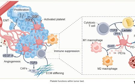 Platelets: tailoring metastasis treatment