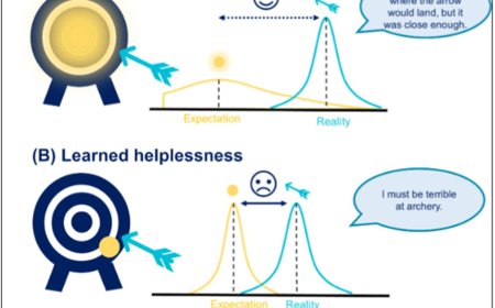 Apathy as a failure of active inference