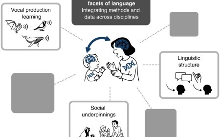 Where language comes from?