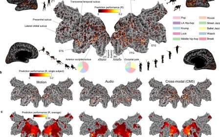 Cross-modal deep generative models reveal the cortical representation of dancing