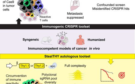 StealTHY: An immunogen-free CRISPR platform to expose concealed metastasis regulators in immunocompetent models