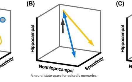 A neural state space for episodic memories