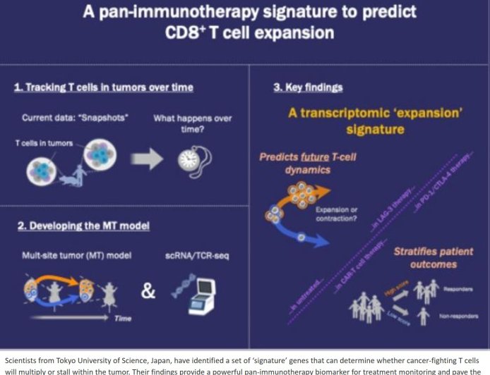 Pan-immunotherapy biomarker for treatment monitoring