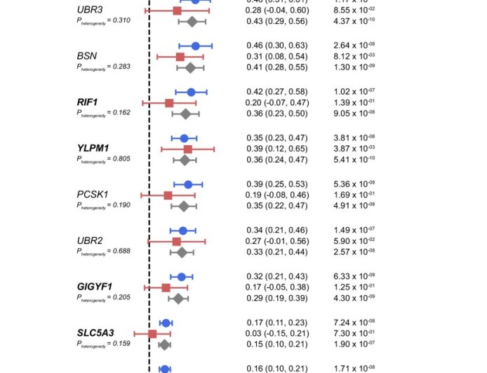 Genes associated with obesity shared across ancestries