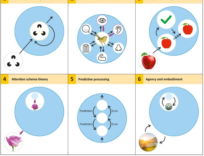 Consciousness in AI systems
