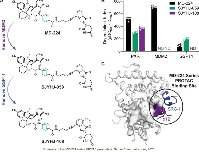 A ‘hidden pocket’ to target nuclear receptors