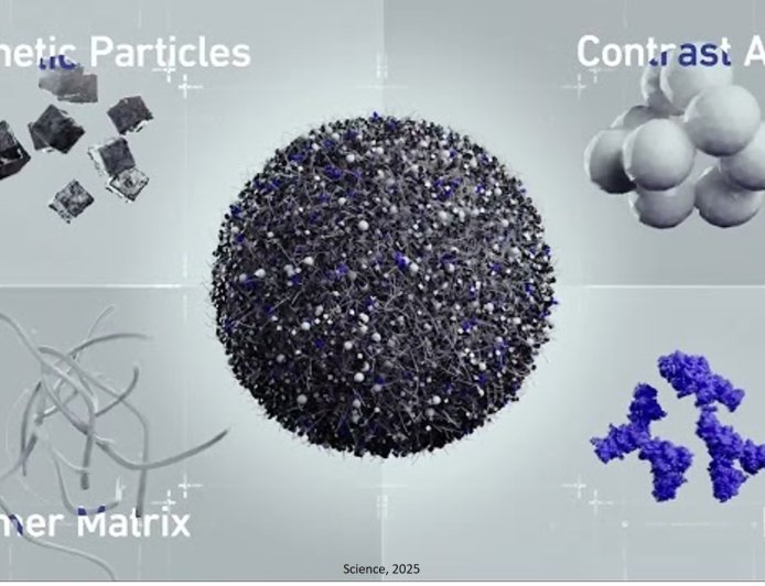 Magnetically guided microrobots for targeted drug delivery