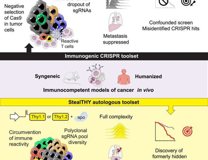 New CRISPR platform to expose concealed metastasis regulators