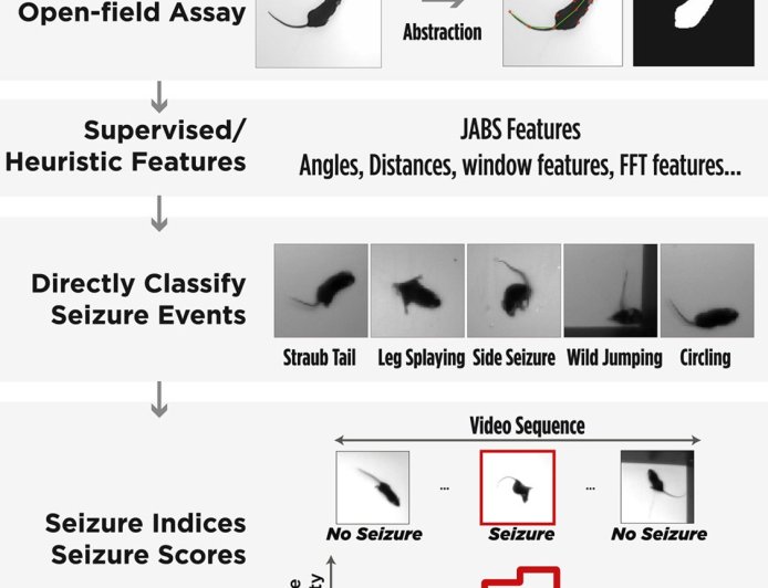 Visual detection of seizures in mice using supervised machine learning
