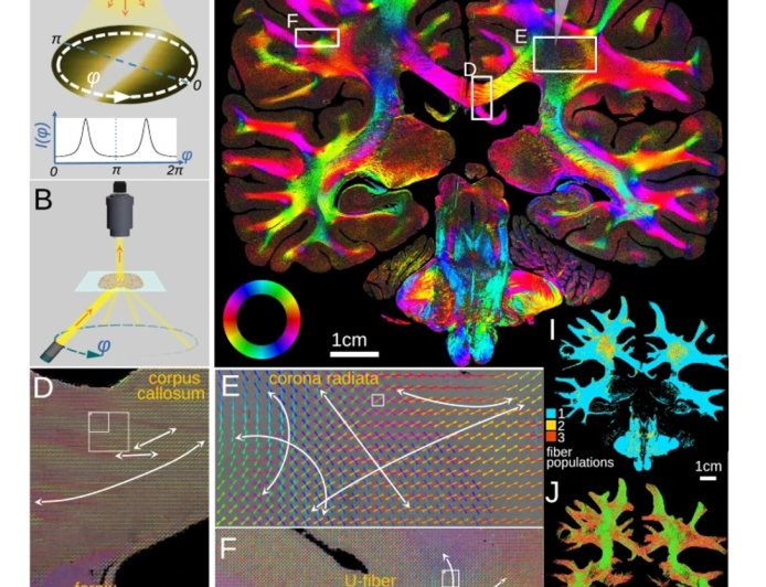 Simple method for viewing microscopic fibers