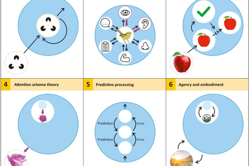 Consciousness in AI systems