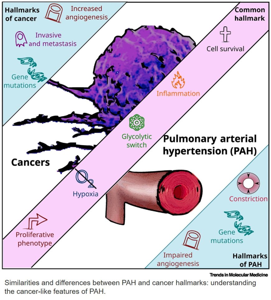 Similarities and differences between pulmonary arterial hypertension and cancer