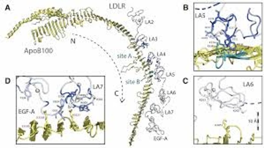 Genetic variation impact scores for earlier heart disease detection