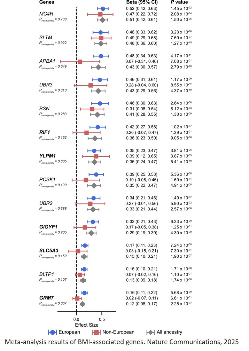 Genes associated with obesity shared across ancestries