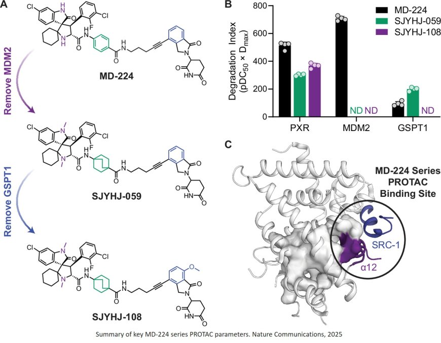 PROTAC repurposing uncovers a noncanonical binding surface that mediates chemical degradation of nuclear receptors