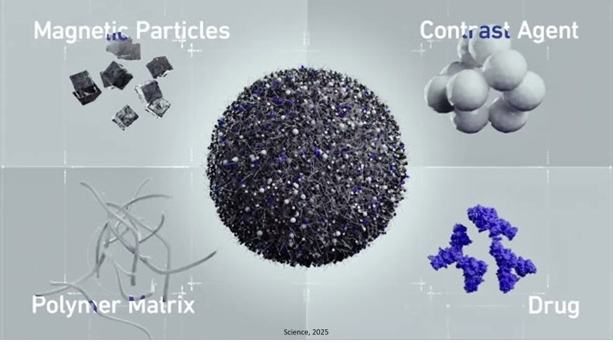 Magnetically guided microrobots for targeted drug delivery