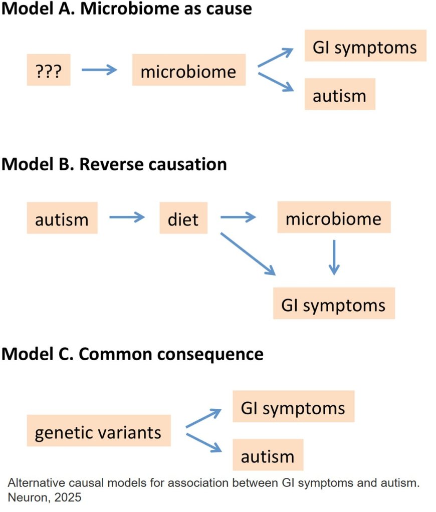 The link between the gut microbiome and autism is not backed by science!