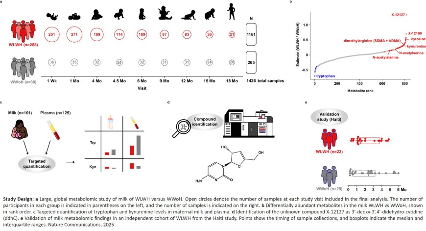 Missing nutrient in HIV mothers milk pose health challenges in children 