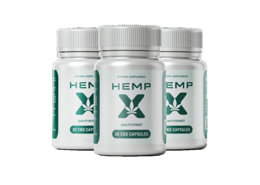 How many times a day should HempX Pain Relief be used?