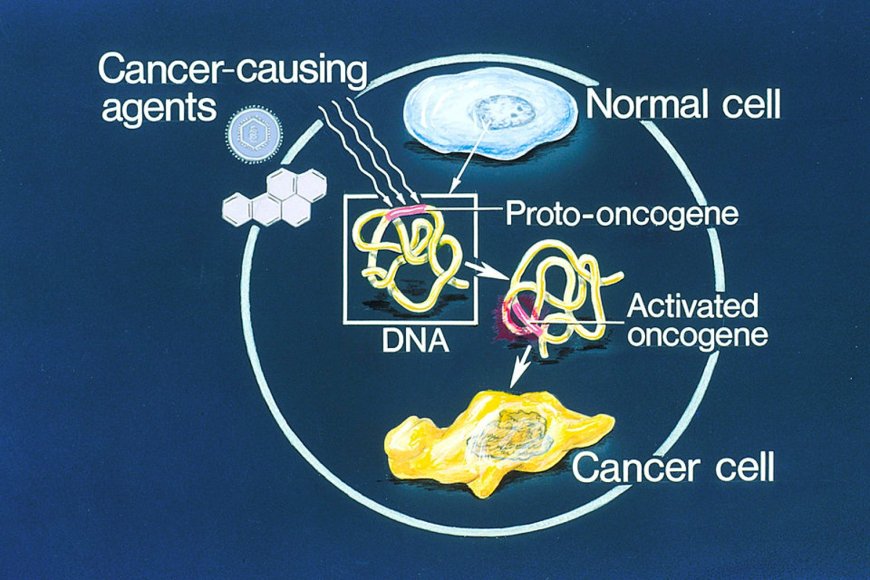 Cancer: Proto-oncogenes, Oncogenes and Anti-oncogenes