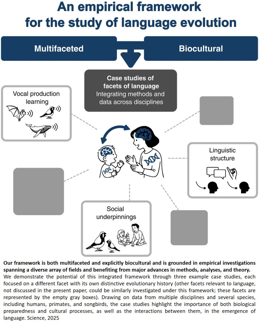 Where language comes from?