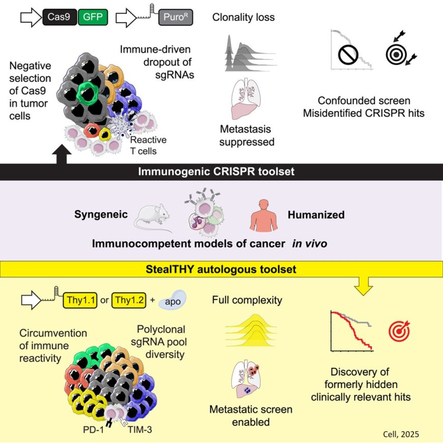 StealTHY: An immunogen-free CRISPR platform to expose concealed metastasis regulators in immunocompetent models