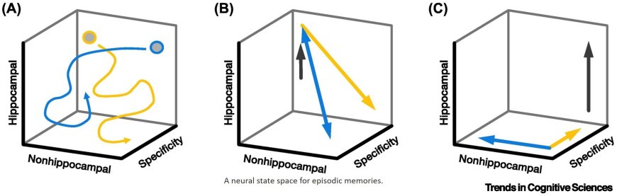A neural state space for episodic memories