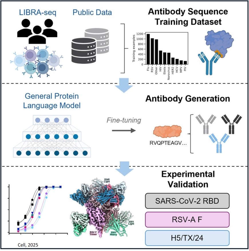 AI can speed antibody design